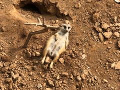 -石家庄市动物园