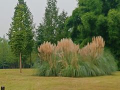 -眉山湿地公园(东坡区)