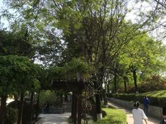 -西安汉城湖景区