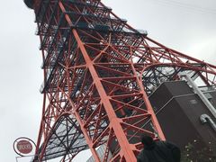 -东京塔海贼王主题公园