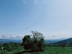 -铁山坪森林公园