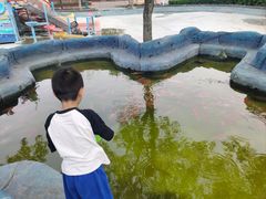 -欢乐水魔方水世界