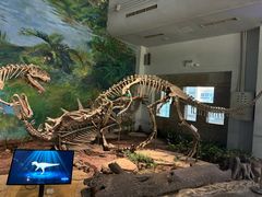 -自贡恐龙博物馆