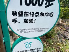 -大岭沟猕猴桃谷风景区