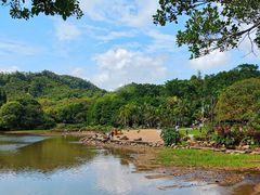 -深圳仙湖植物园