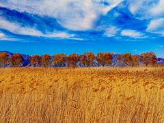 -野鸭湖国家湿地公园