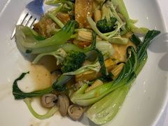 -食为先(Shark Fin)