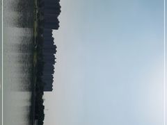 -翠山·映月湖景餐厅(映月湖公园店)