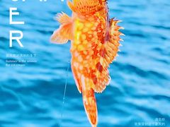 -深圳海钓·深圳钓鱼·拓展聚会鱼排