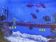 -太平洋海底世界