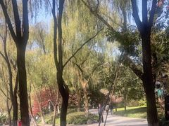 -柳浪闻莺公园
