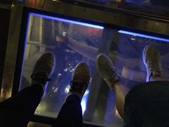 -影汇之星8字形摩天轮