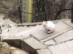-华山风景名胜区