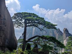 -黄山风景区