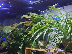 -云上千禾(水上店)