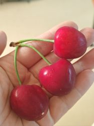 -悦家·美丽妈妈月子会所(龙奥店)