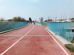 -白鹭湾湿地公园