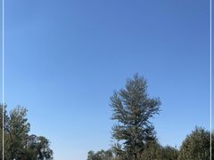 -野鸭湖国家湿地公园