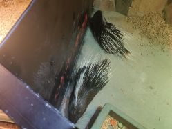 -酷嗒动物文化乐园(cutezoo西溪乐天城店)