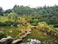 -云溪植物园
