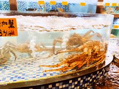 -顺德了能馆(虎门店)