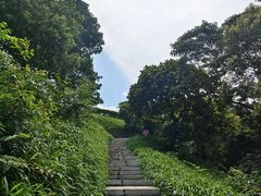 -黄埔油麻山森林公园
