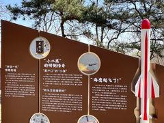 -云岗森林公园