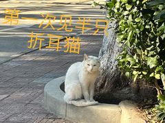 -同济大学(沪西校区)
