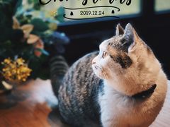 -IFIF 如果花園(宽厚里店)