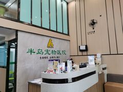 -半岛宠物医院24小时(科华中路店)