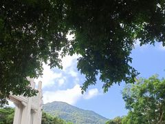 -梧桐山风景名胜区