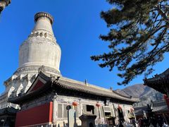 -五台山风景区