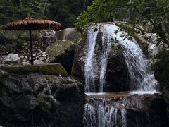 -牛背梁国家森林公园