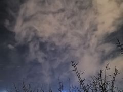 -长春国际会展中心大饭店