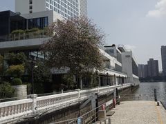 -广州白天鹅宾馆