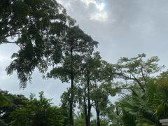 -三亚亚龙湾雅高铂尔曼别墅度假酒店