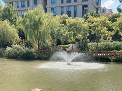 -新江湾城公园