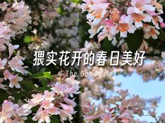 -郑州植物园