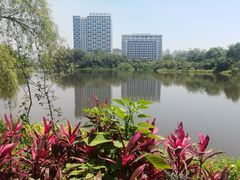 -雀儿山公园