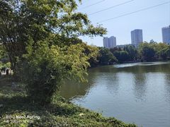 -晓港公园