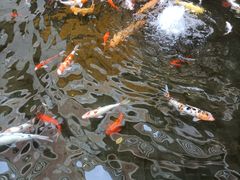 -Waterfall瀑布湾优健源(华侨城店)