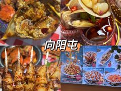-日照海滨国家森林公园