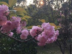-堤角公园