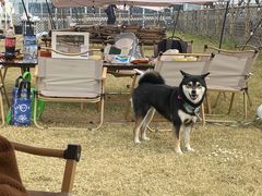 -栖露营camping·天幕烧烤·团建拓展·采摘营地