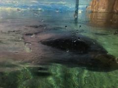 -福州罗源湾海洋世界旅游区