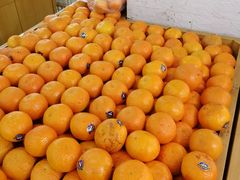 -全而廉(靖宇中路店)