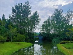 -溱湖国家湿地公园