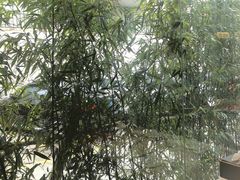 -潮州府·潮菜·砂锅粥(徐家汇店)