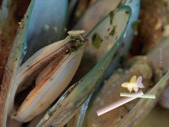 -La Tavernetta(Bar à Vin)(乌鲁木齐路店)