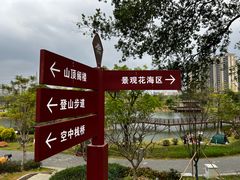 -王借岗森林公园